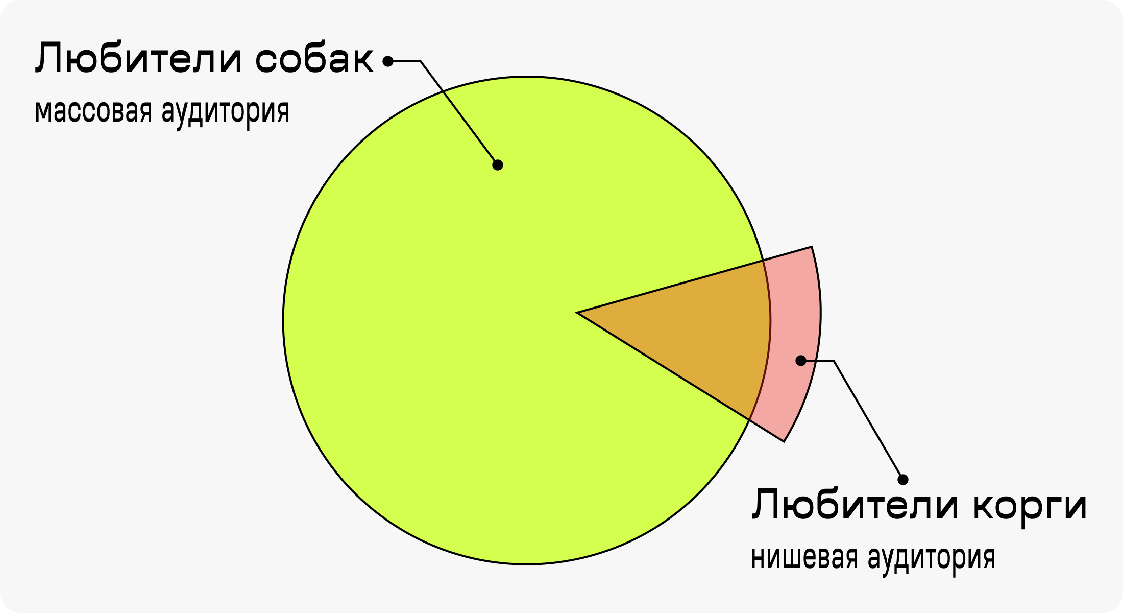 Что такое нишевая аудитория в нишевых медиа? Инфографика: любители собак — массовая аудитория, любители корги — уже нишевая.